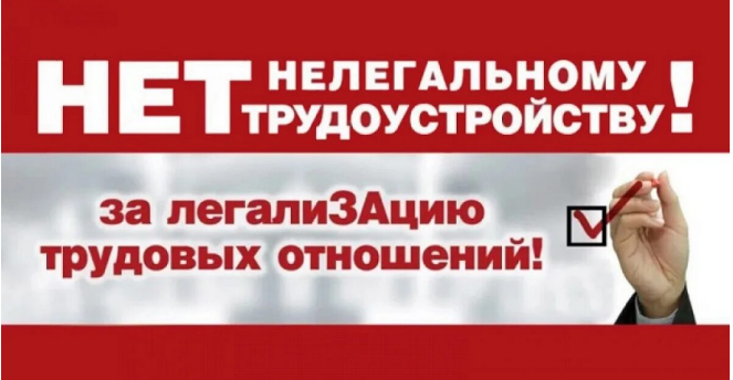 Противодействие нелегальной занятости.